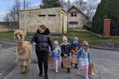IMG-20250401-WA0037