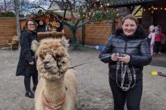 IMG-20250401-WA0041