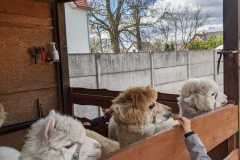 IMG-20250401-WA0046
