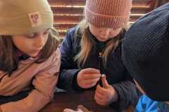 IMG-20250401-WA0049