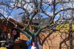 IMG-20250401-WA0089