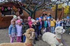IMG-20250401-WA0095