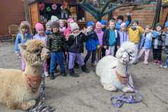 IMG-20250401-WA0098
