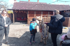 IMG_20250401_103156