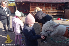 IMG_20250401_103210