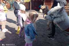 IMG_20250401_103224