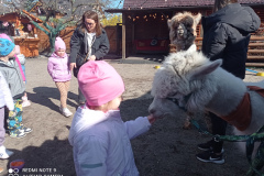 IMG_20250401_103238
