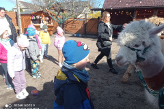 IMG_20250401_103251