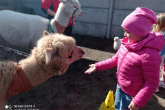 IMG_20250401_103403