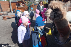 IMG_20250401_103922