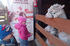 IMG_20250401_105818