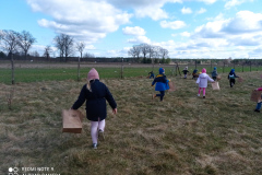 IMG_20250401_112654