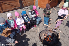 IMG_20250401_130358