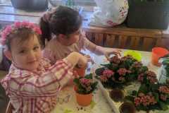 IMG-20240326-WA0002