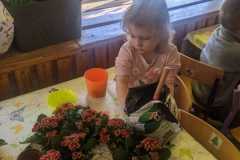 IMG-20240326-WA0003
