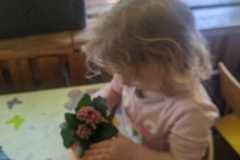 IMG-20240326-WA0005
