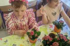 IMG-20240326-WA0006