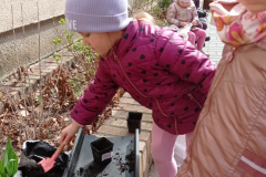 IMG_20240315_122831