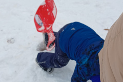 IMG_20231204_121112484