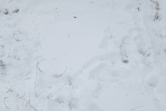 IMG_20231204_121122472