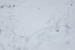 IMG_20231204_121135235