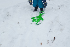 IMG_20231204_121136683