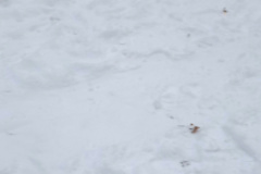 IMG_20231204_121221813_HDR
