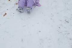 IMG_20231204_121233365