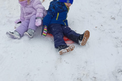 IMG_20231204_121235493