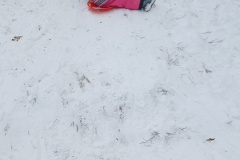 IMG_20231204_121837255