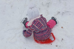 IMG_20231204_121838443