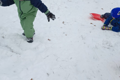 IMG_20231204_122054765